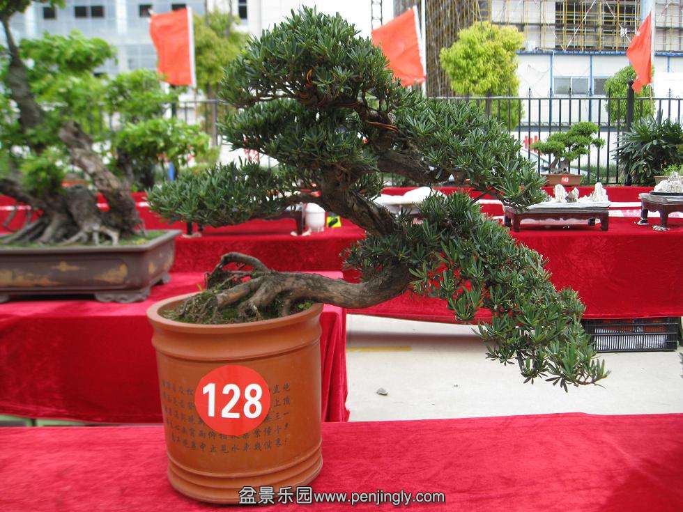 Ƭ 16724.jpg