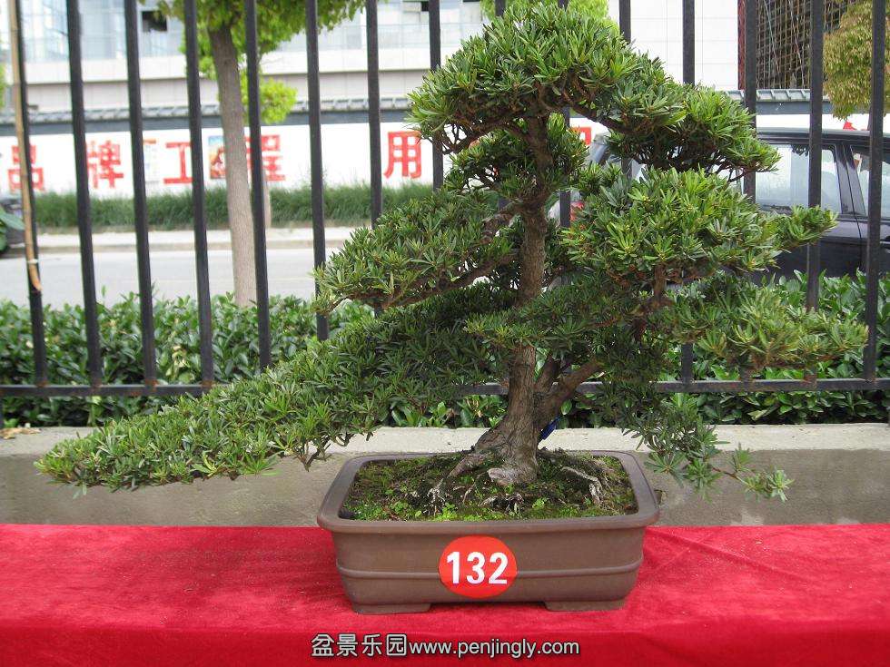 Ƭ 16738.jpg
