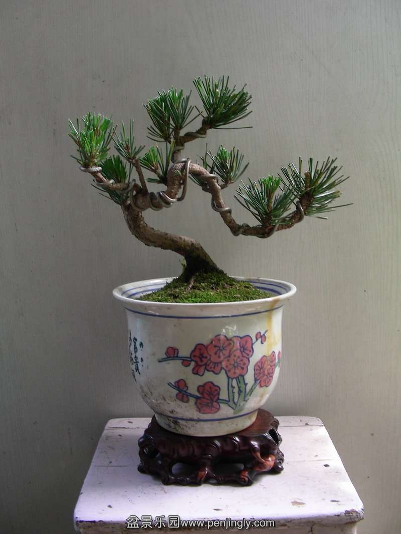 DSCN3694.JPG
