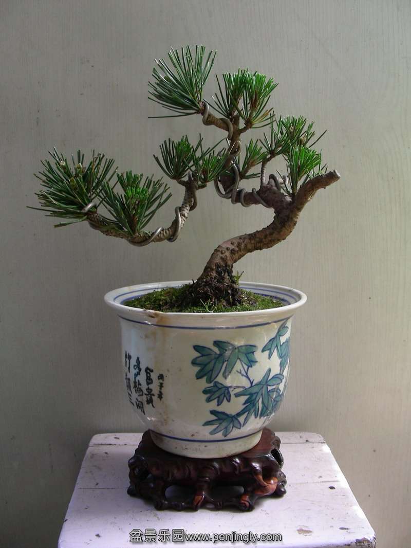DSCN3695.JPG