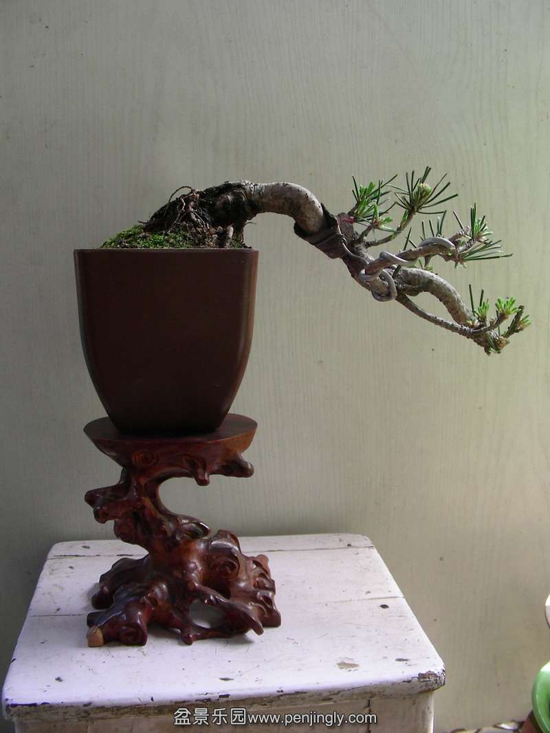 DSCN3696.JPG