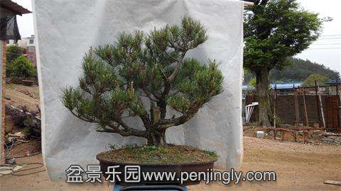 IMG_20140427_113457.jpg