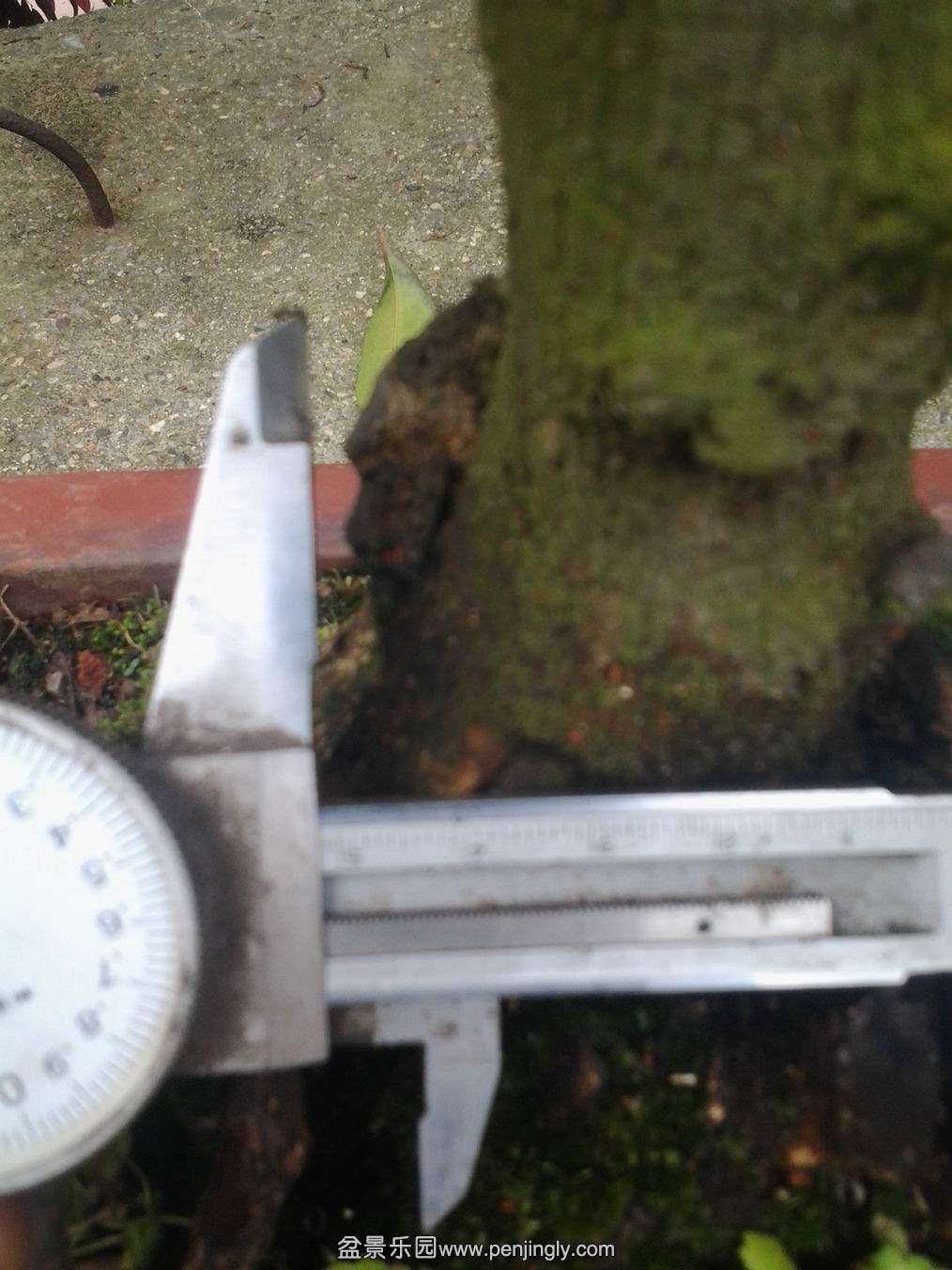 20140425_143043.jpg