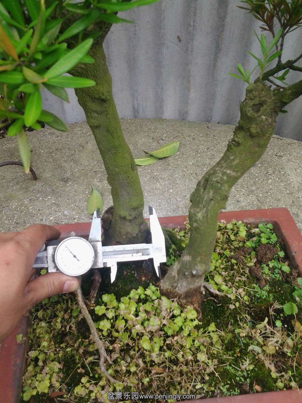 20140425_143047.jpg