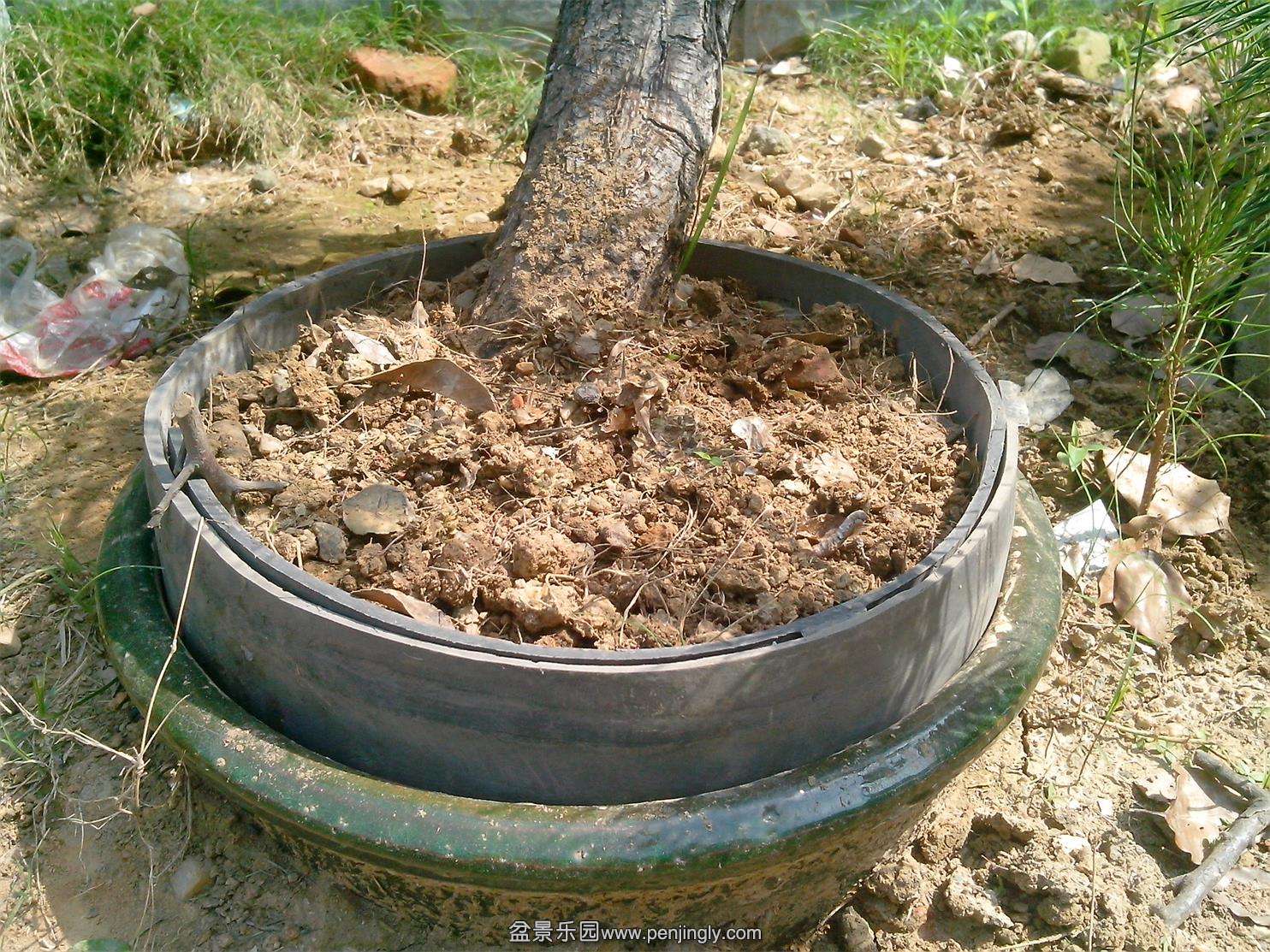 IMG20140429003.jpg