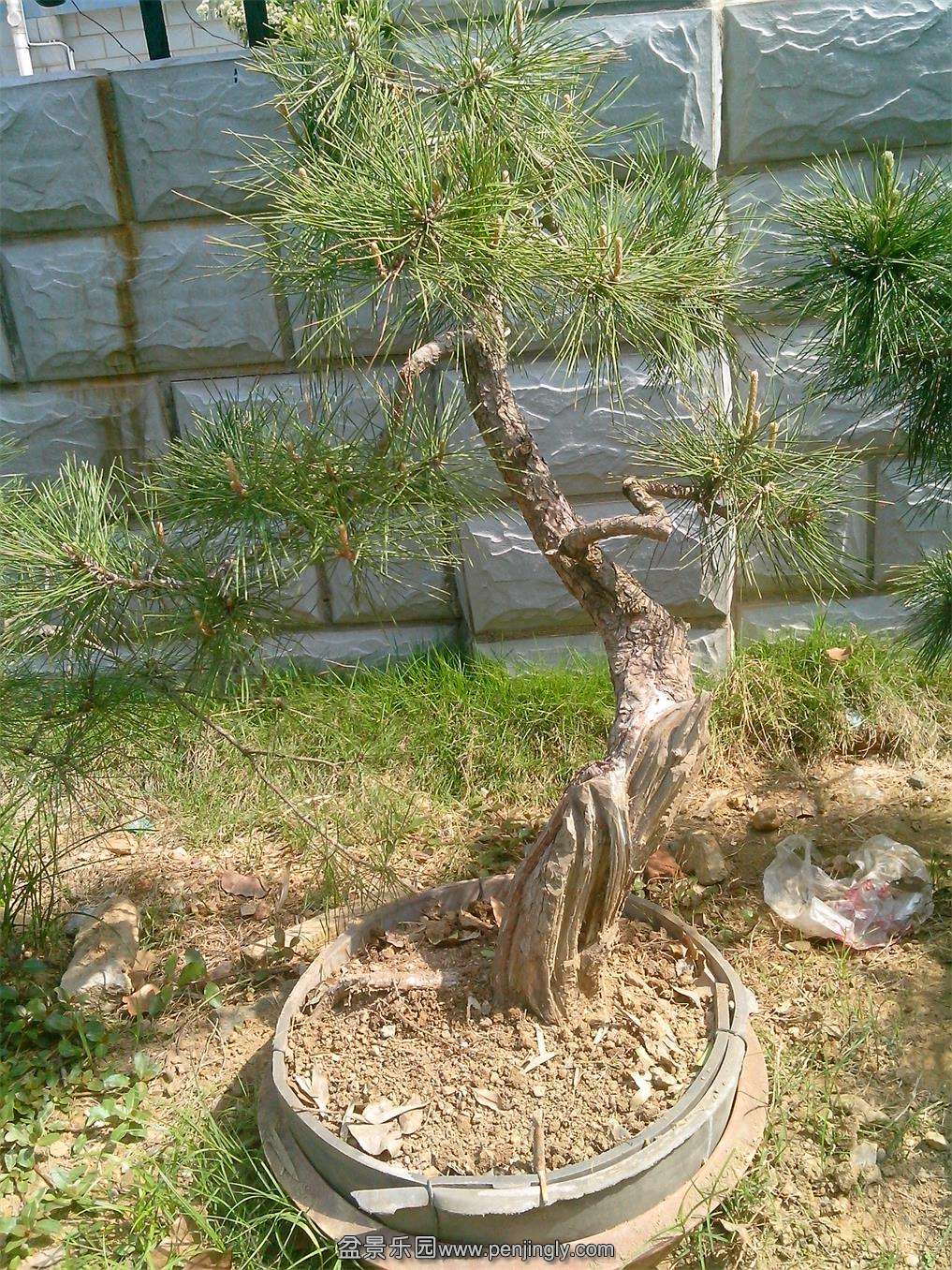 IMG20140429004.jpg