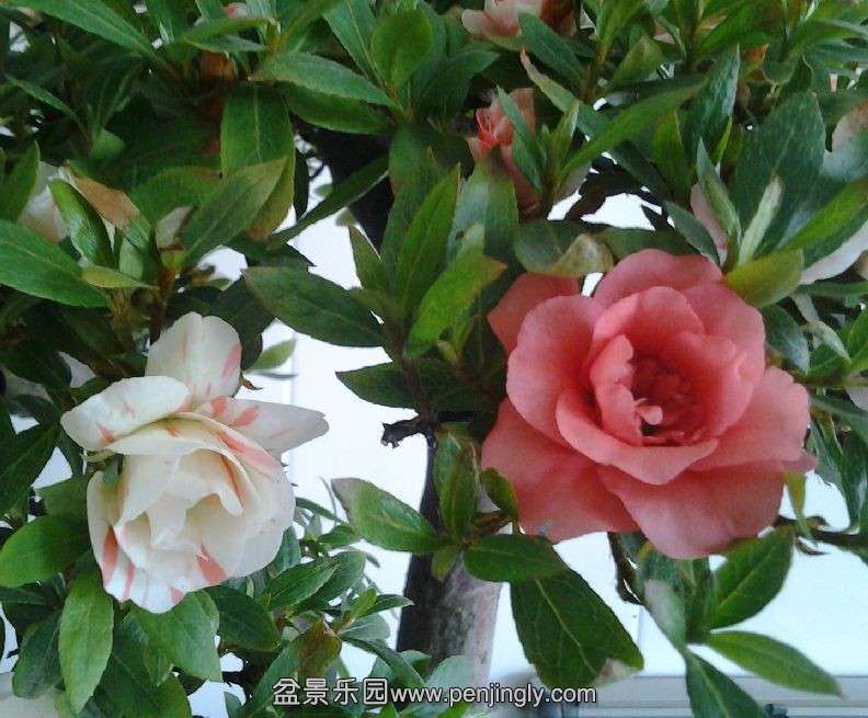 QQͼƬ20140429094355.jpg