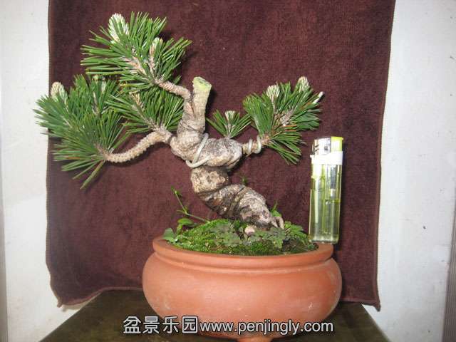 Ƭ 012.jpg