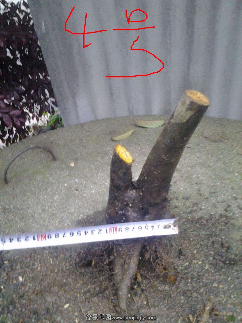 20140429_185738.jpg