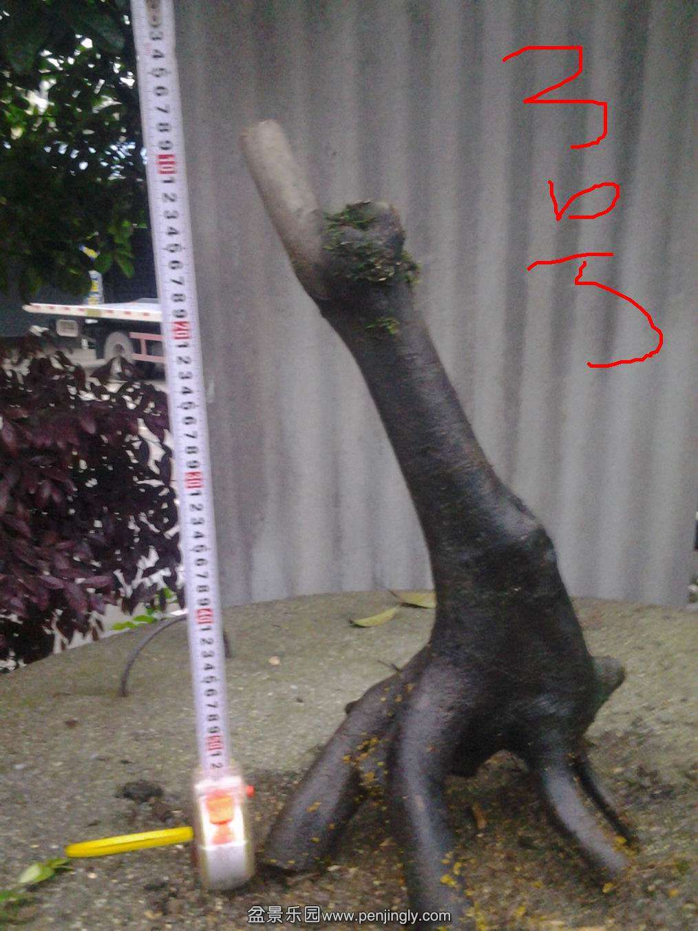 20140429_190039.jpg
