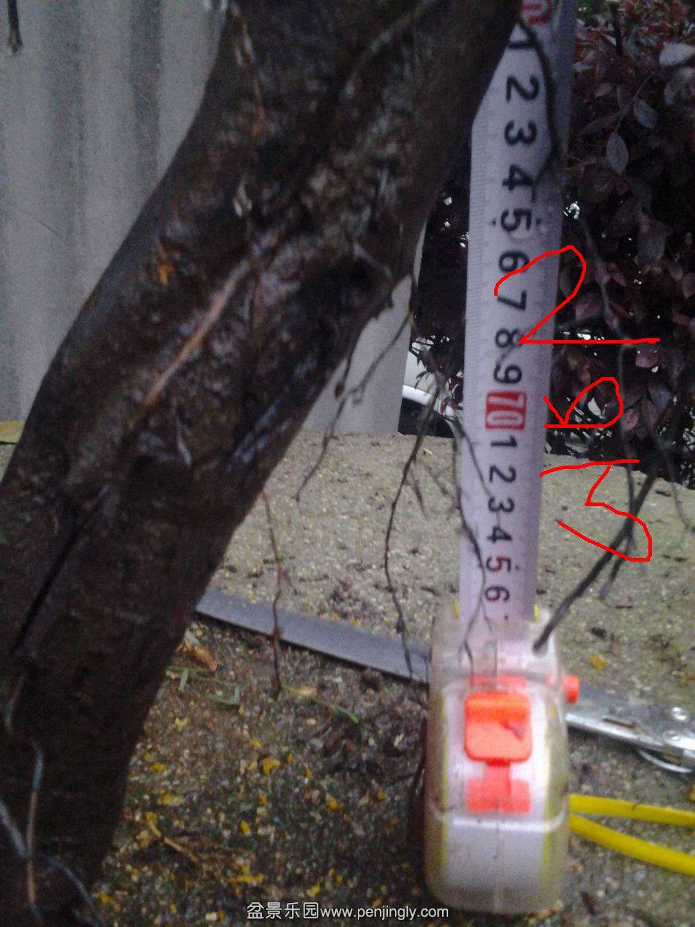 20140429_190411.jpg