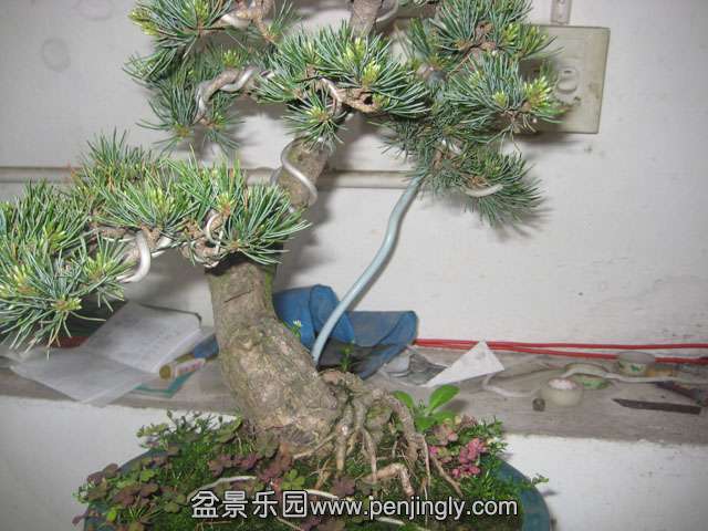 Ƭ 051.jpg