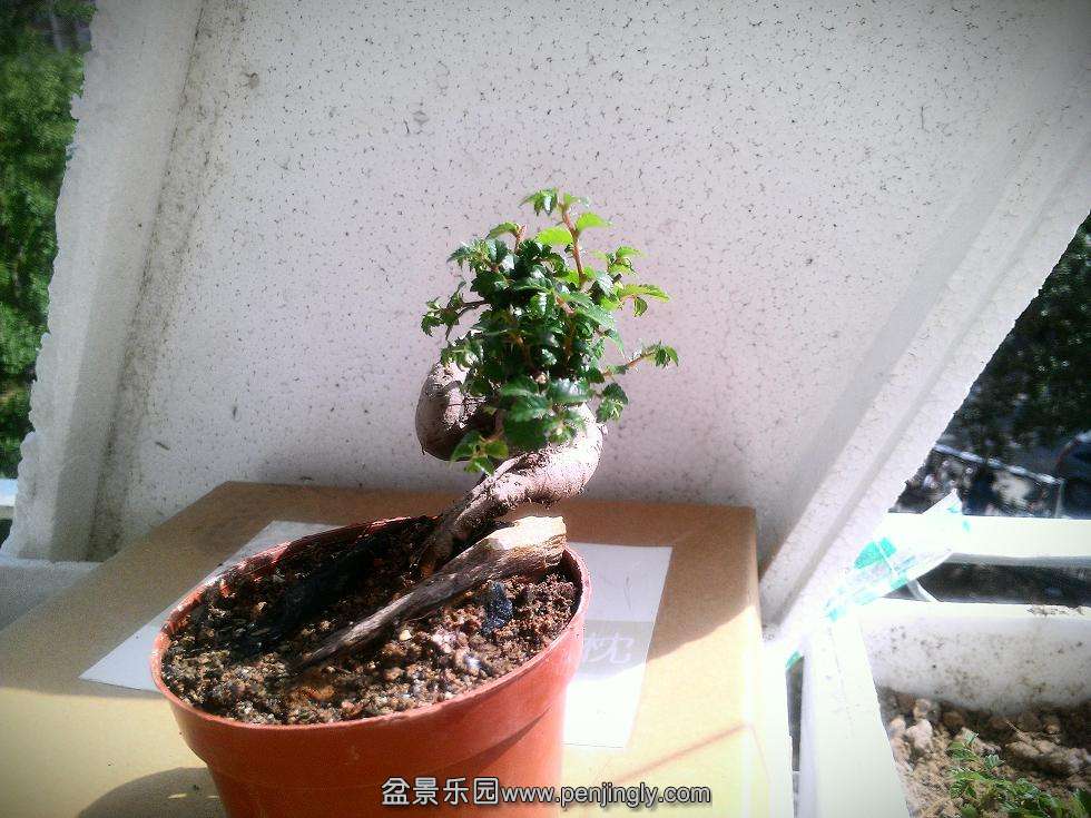 IMAG0819-1.jpg