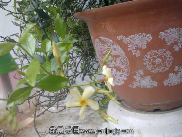 201405012588.jpg