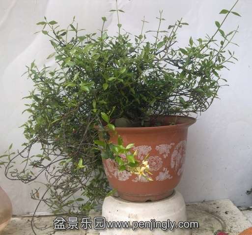 201405012587.jpg