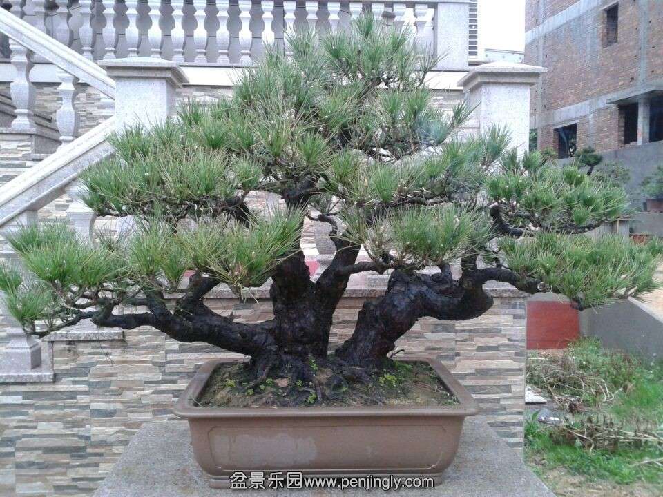 QQͼƬ20140502185834.jpg