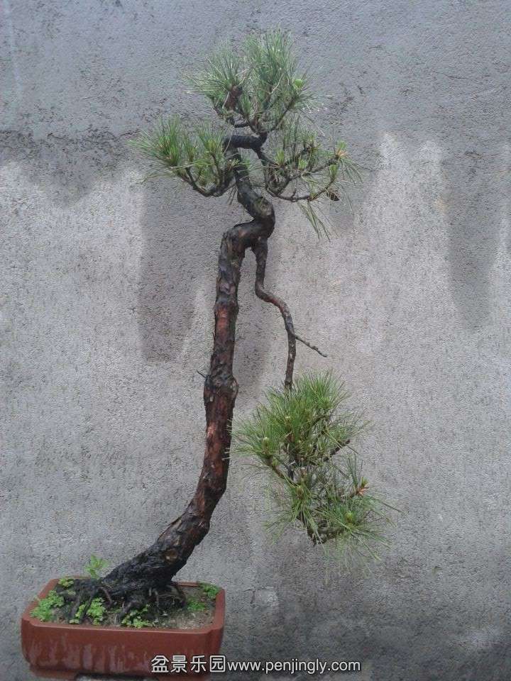 QQͼƬ20140502190026.jpg