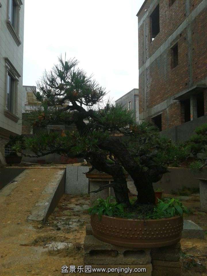 QQͼƬ20140502185911.jpg