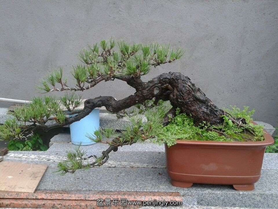 QQͼƬ20140502185920.jpg