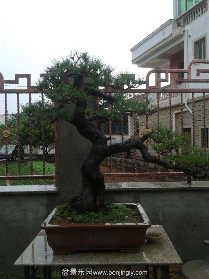 QQͼƬ20140502185928.jpg