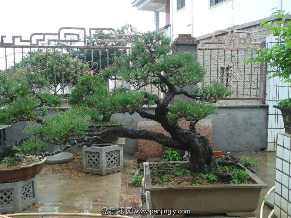 QQͼƬ20140502185936.jpg