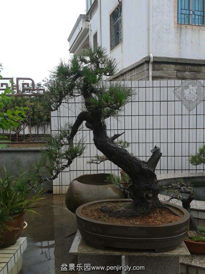 QQͼƬ20140502185945.jpg