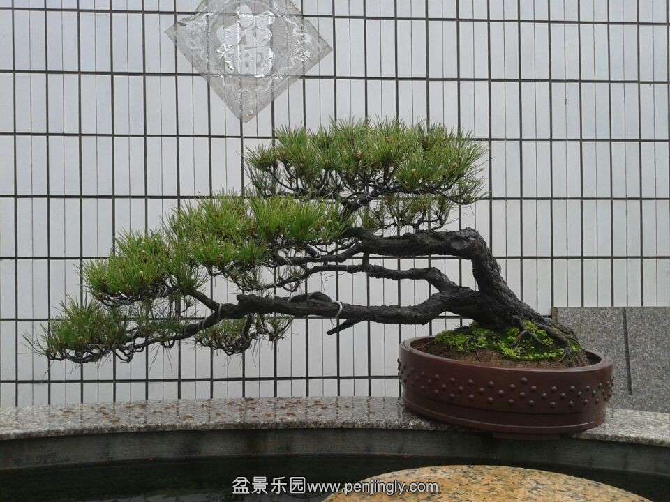 QQͼƬ20140502185951.jpg