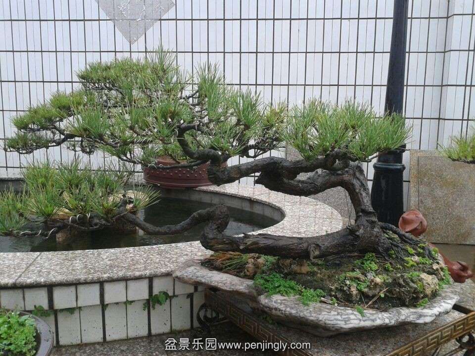 QQͼƬ20140502185957.jpg