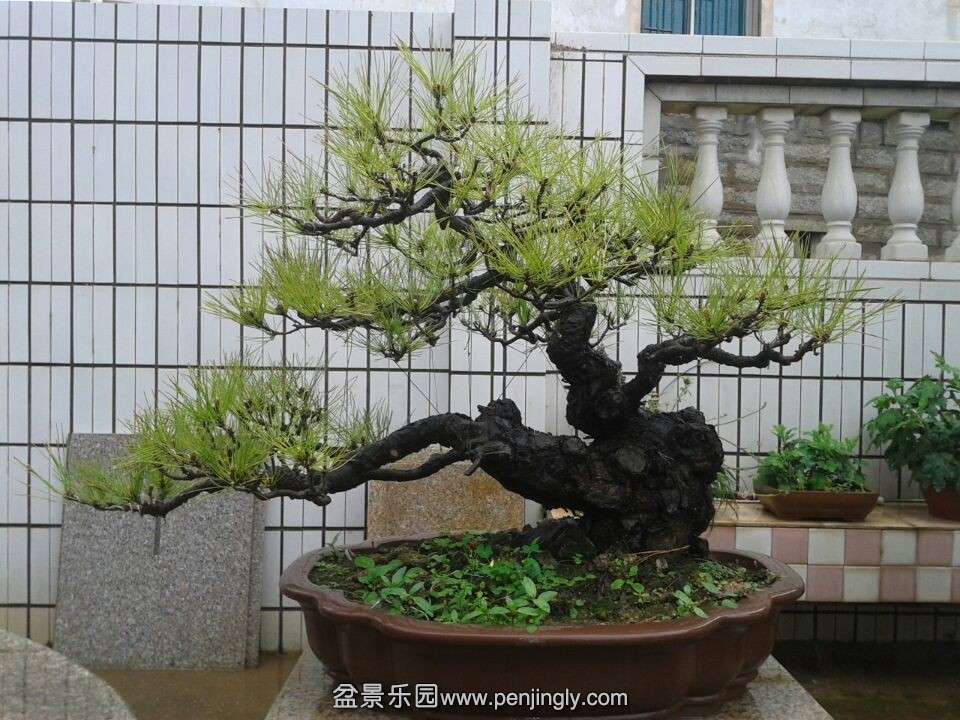 QQͼƬ20140502190008.jpg