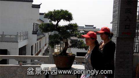 IMG_20140501_102303.jpg