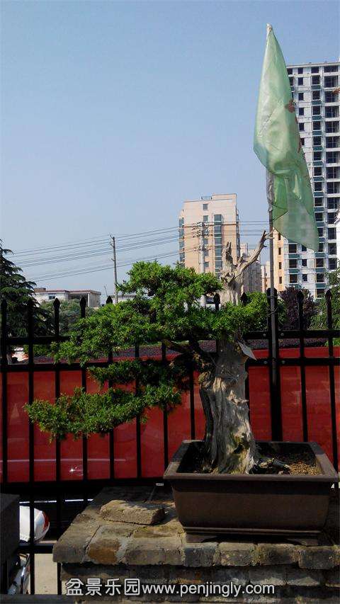 IMG_20140501_090435.jpg