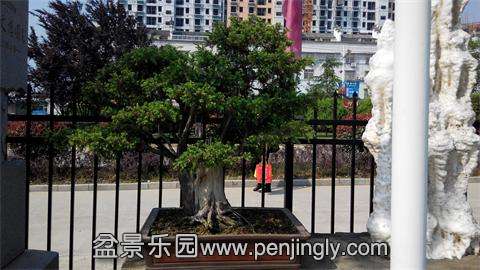IMG_20140501_090201.jpg