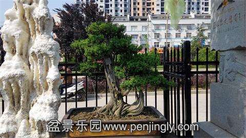 IMG_20140501_090213.jpg