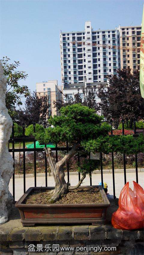 IMG_20140501_090259.jpg
