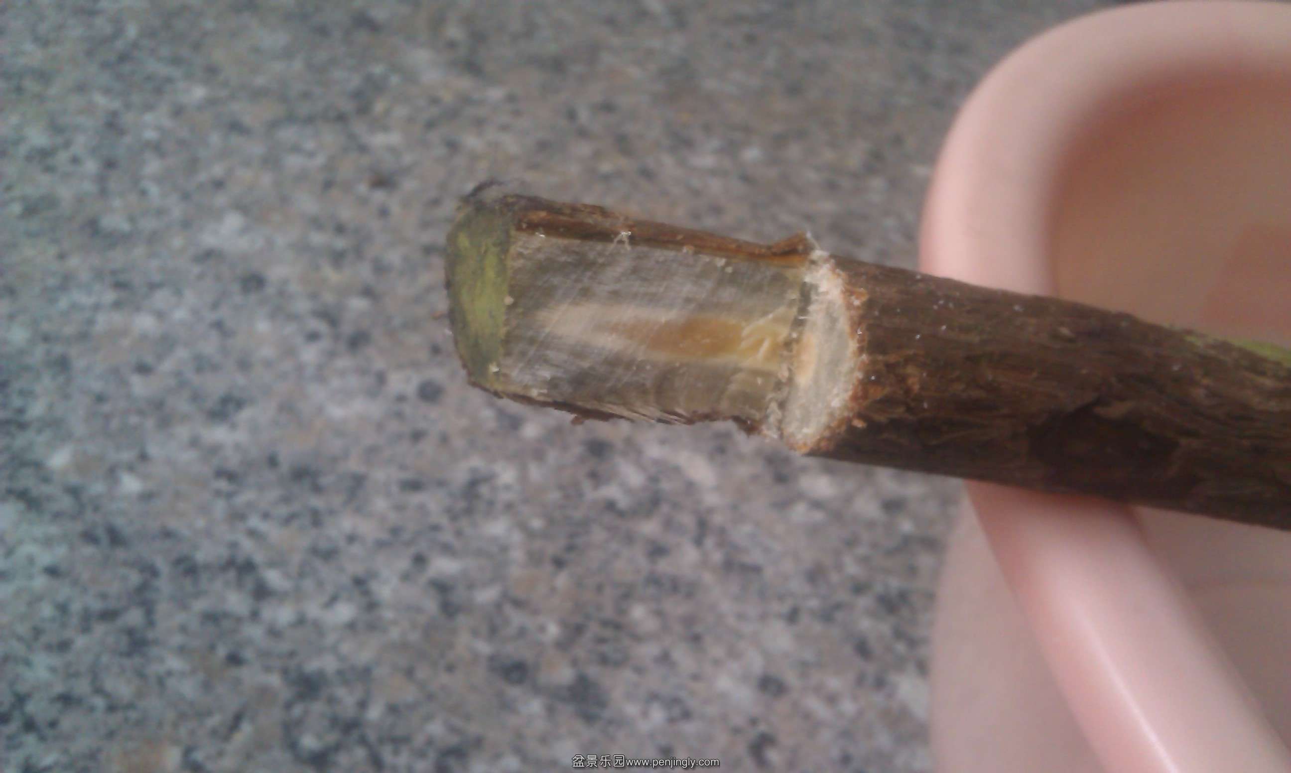 IMAG0396.jpg