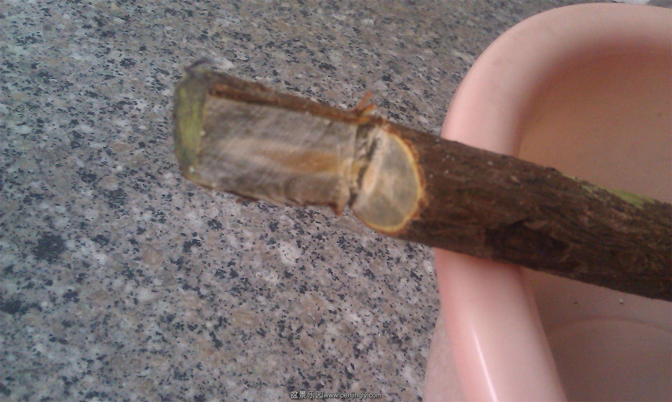 IMAG0400.jpg
