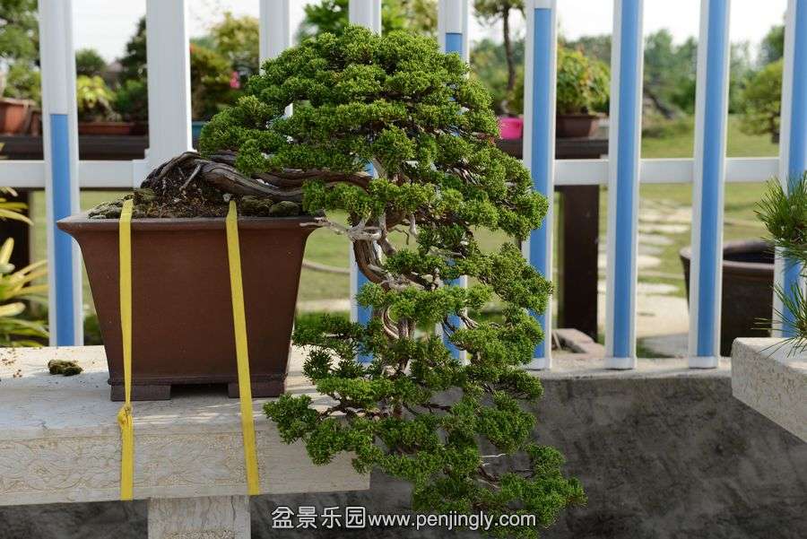 ҵ辰 398.jpg