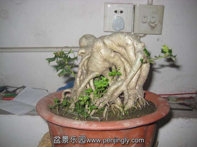 Ƭ 047.jpg