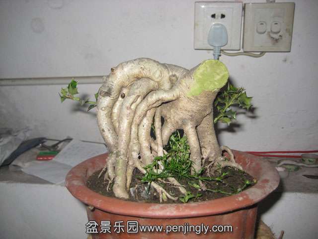 Ƭ 048.jpg