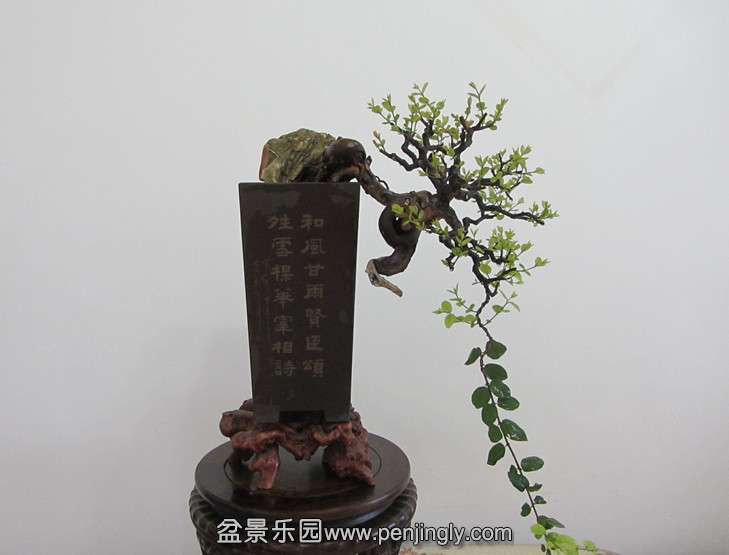 飞流直下三千尺.jpg