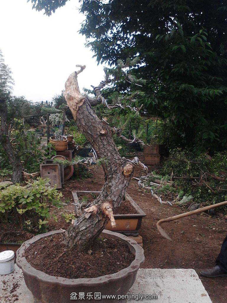 IMG20140505172859.jpg