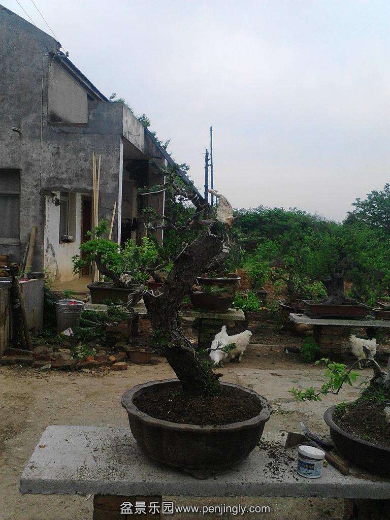 IMG20140505173012.jpg