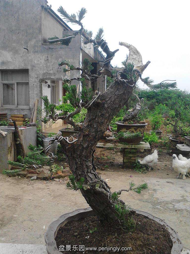 IMG20140505173004.jpg