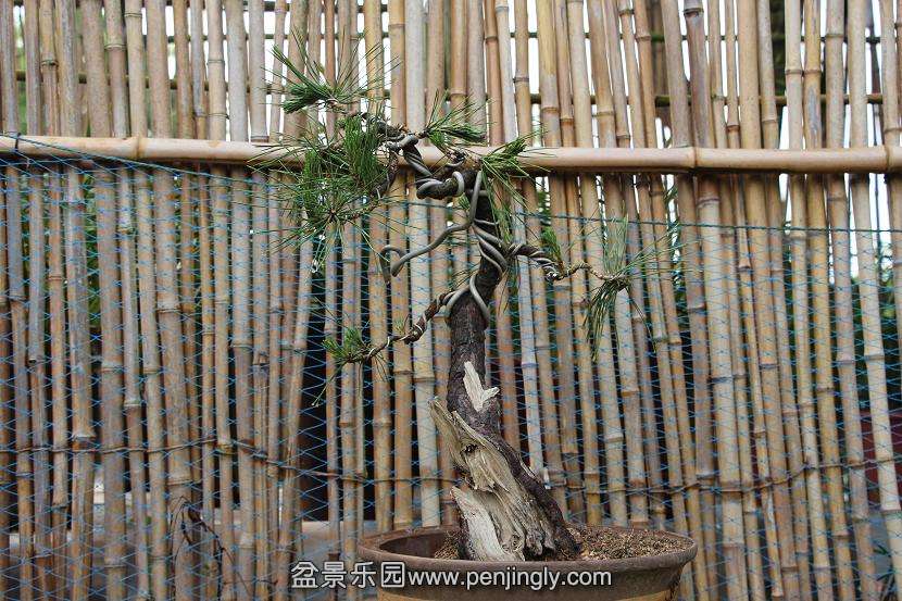 Ƭ 076.jpg