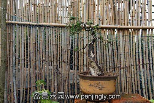 Ƭ 078.jpg