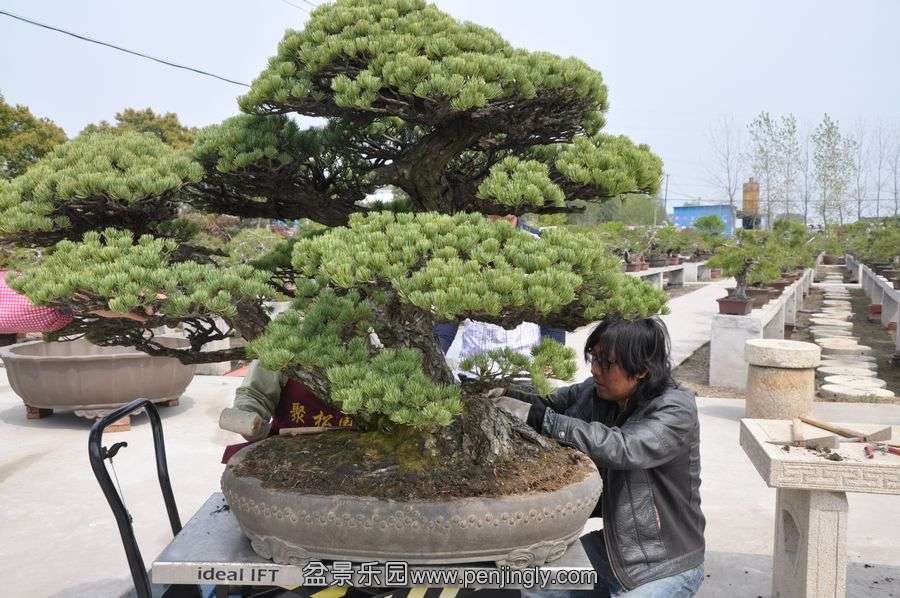 ҵ辰 309.jpg