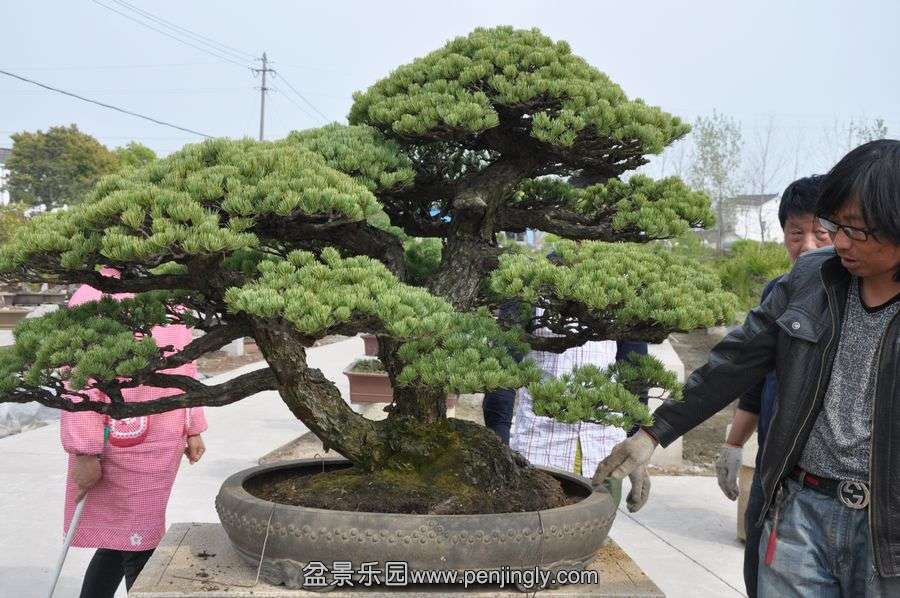 ҵ辰 320.jpg