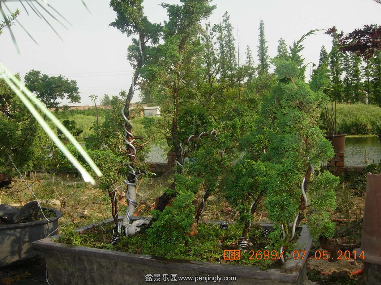 DSCN7376.JPG