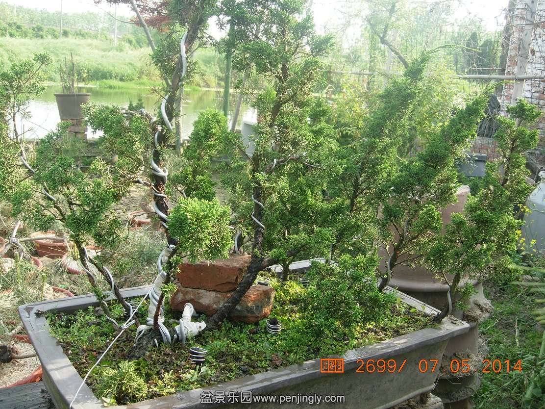 DSCN7377.JPG