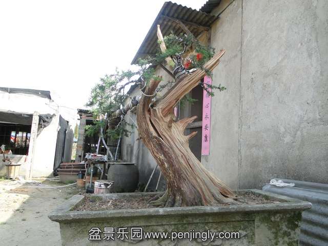 DSC01474.jpg